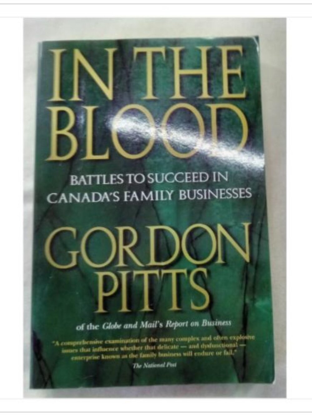 In the Blood: Battles to Succeed in Canada's Family Businesses Gordon Pitts